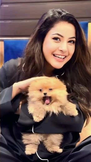 Cute little dog 🐶 masti with Shehnaaz Gill #dog #shehnaazgill