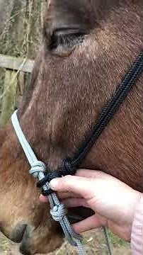 Ridge Creek Tack Demonstration of Indian Bosal