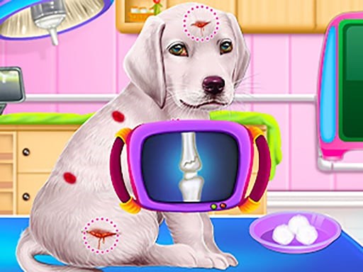 Play Labrador Puppy Daycare Salon | Free Online  Games. KidzSearch.com
