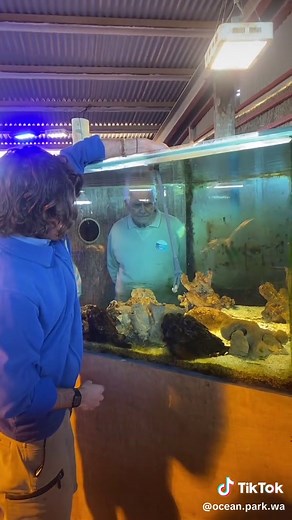 Meet our Stone Fish at Ocean Park | Get Up Close and Personal