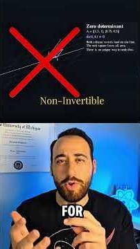 The True Meaning of the Determinant