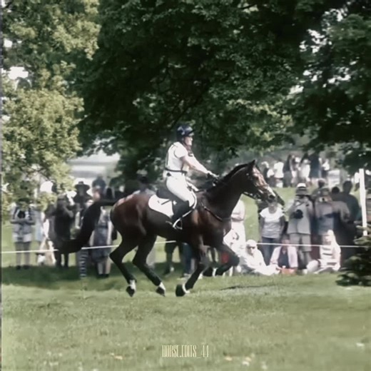 #EVENTING || #equestrianlife #crosscountyedit #random #eventingedit