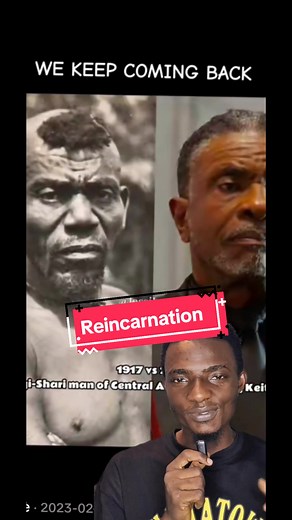 Reincarnation: Stories and Beliefs Explored