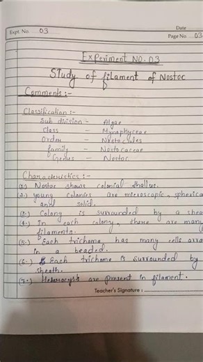 Bsc Botany practical copy of semester 1st #Study of virus #shorts#ytshorts #semester1st #viral