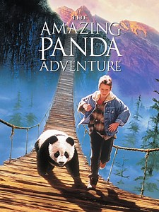 The Amazing Panda Adventure Pictures