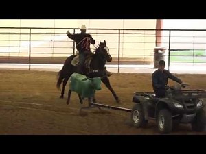 Tips from Clay Tryan