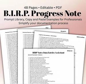 BIRP Progress Note Prompts: Mental Health Documentation for Therapists (digital Download) - Etsy