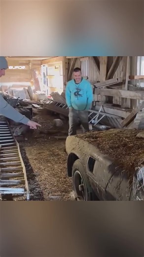 Expert Techniques for Old Car Detailing in the USA