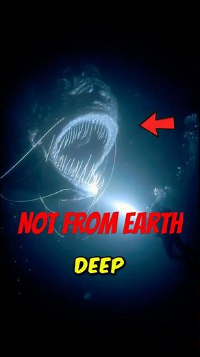 Top 5 Deep Sea Creatures That Will Haunt Your Nightmares 😱🌊