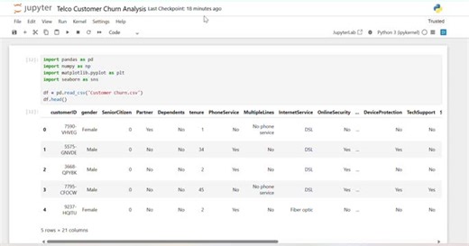 #dataanalytics #python #eda #customerchurn #telecomanalytics #datasciencejourney #learningbydoing #jupyternotebook #seaborn #pandas #businessinsights | Saheli Nath