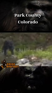 161K views · 4.6K reactions | This has made the rounds on Social...