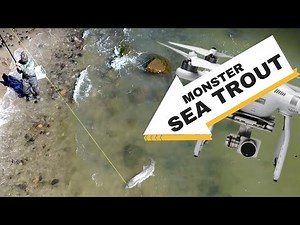 GIANT sea TROUT caught on DRONE! (Coastal fly fishing for sea run brown trout at Bornholm, Denmark)