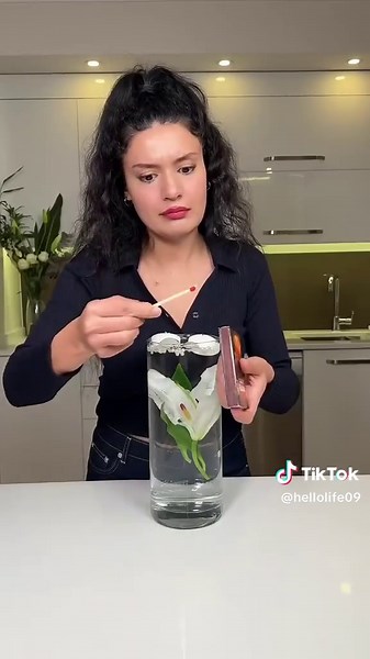 Easy Recipes for Tasty Foods to Try Out