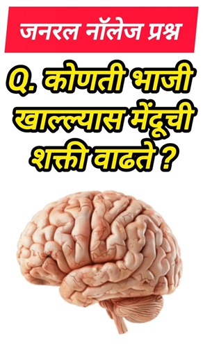 Q. कोणती भाजी खाल्ल्यास मेंदूची शक्ती वाढते? 2026 के Most Expected GK question
