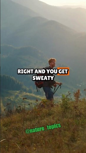 Why Wool Keeps You Warm Even When Wet