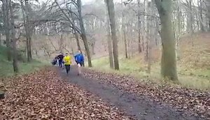 5.3K views · 143 reactions | Athletes being put through their paces at this mornings advanced run class. | Gary O' Hanlon Running | Facebook