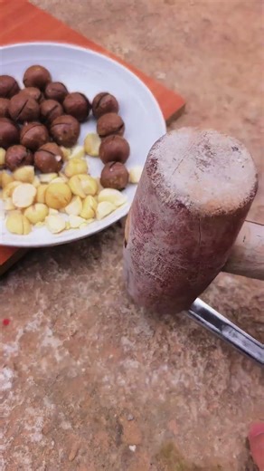 Crack the macadamia nut shell with a hammer #shorts