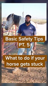 If your horse gets stuck, don't panic! Take your time, move slowly, and evaluate the situation to ensure that you and your horse can get out safely #horseaccidents #HorseTrails #HorseTraining #HorseRiding #HorseKicks #HorseEducation #HorseTips #SteadyHorse #HorseSafety | Steady Horse