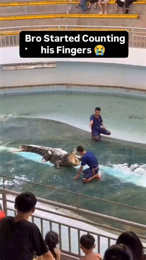 𝐆𝐫𝐞𝐚𝐭 𝐂𝐨𝐧𝐭𝐞𝐧𝐭 on Instagram: "The instagram reel thermal imaging video from an airport terminal, humorously depicting farts as fiery orange bursts from passengers’ rear areas, amassing nearly 10 million views and 15,000 likes within hours. Thermal cameras detect infrared heat radiation, but human farts—gases at near-body temperature—do not produce visible plumes unless significantly hotter or cooler than surroundings, as confirmed by MythBusters experiments and physics principles. The