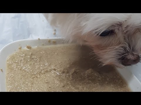 CASPER and i Vlog is live..CASPER DINNER