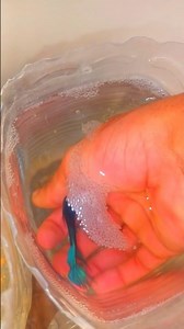 giant betta fish bubble nest #bettafishtank #betta