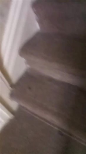 Lynn Cherry (@lynncherry4)’s videos with fxcklove - Piper