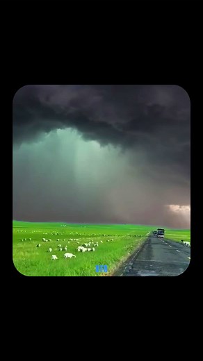 Reflexão Sobre a Vida e a Fé