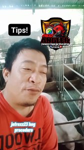Buwan na mabilis lumaki at buwan na mahal ang baboy. #followers #hograisers #tips #farmers | jefroxz23 hog procedure.