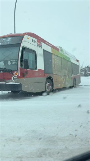 Have Faith in yourself and keep hard working 🌸✨#motivation #viral #youtubeshorts #canada