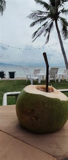 KohPhangan #travel #resort #thailand #kohphanganthailand