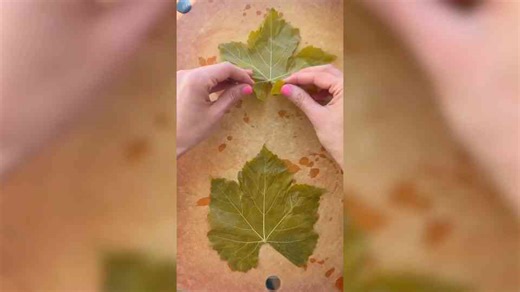 How to Make Stuffed Grape Leaves