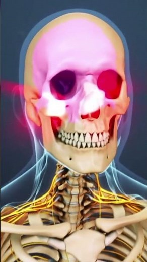 What are the Symptoms of Cervical Stenosis?