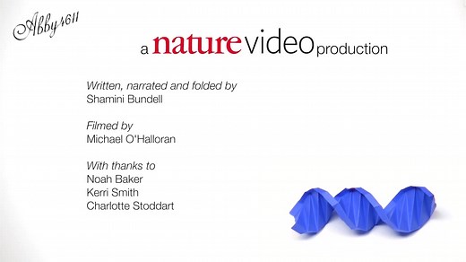 【nature video】<中英字幕>折纸十年（DNA折纸术）（DNA origami）