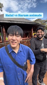 15K views · 418 reactions | Halal vs haram animals for Muslims to eat | Tallie Dar | Facebook