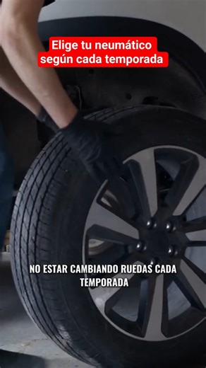 Elige tus NEUMÁTICOS según cada temporada