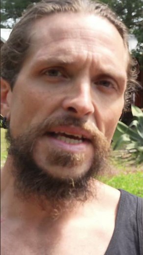 Devil's Den Snorkeling: Hidden Paradise You MUST See!