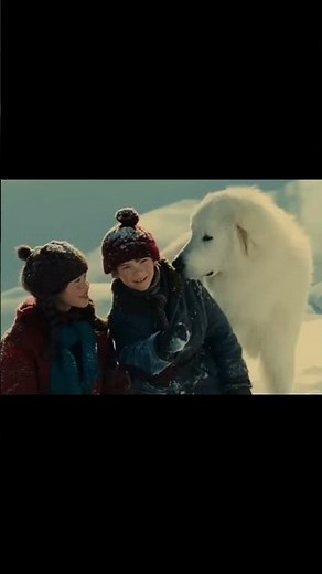 Have you ever seen the movie Belle and Sebastian? #movie #belleandsebastien #mountains #frenchmovie