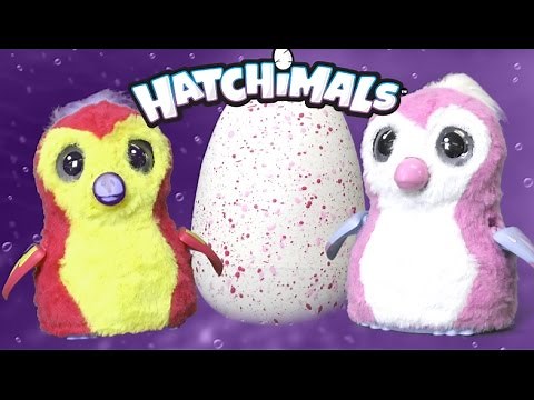 Hatchimals from Spin Master