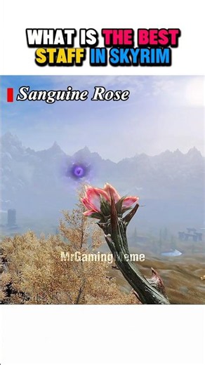What is the best staff in Skyrim