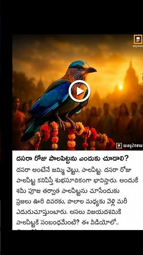 why we want to see palapitta on the day of Dusshera.