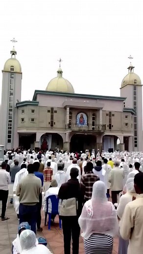 fikadu (@fikadu7119)’s videos with original sound - fikadu