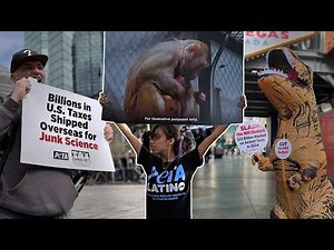 How PETA Transformed Animal Testing in 2025 | Big Wins for Animals in Labs