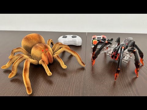 Hex Bots Tarantula VS New Bright RC Fuzzy Spider Toys Unboxing