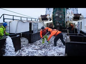 3 of the Best Alaska Seafood Processing Companies (In My Opinion)