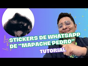 You won't stop watching! DOWNLOAD the RACCOON PEDRO STICKERS on WHATSAPP (Tutorial 2024)