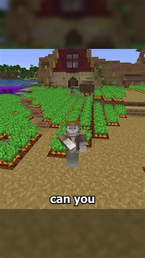 Building Without Blocks in Minecraft: A Unique Challenge