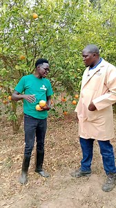 The farm comedy show with MCA Tricky | Jeremiah Kawai