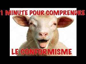 1 MINUTE POUR COMPRENDRE : LE CONFORMISME