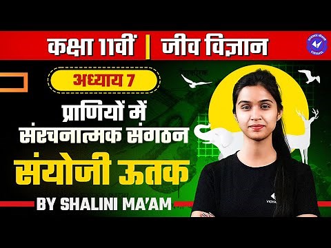 संयोजी ऊतक (L - 3) | प्राणियों में संरचनात्मक संगठन | Class 11 Biology Chapter 7 by Shalini Maam