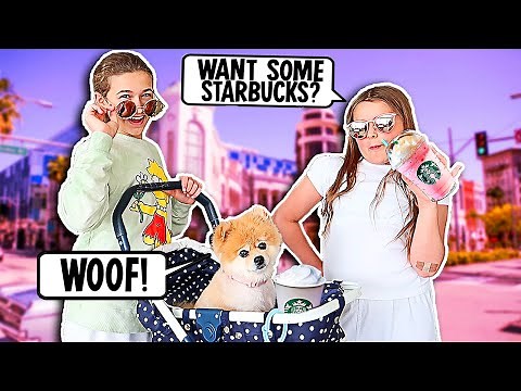 TREATING OUR DOG LIKE A REAL HUMAN FOR 24 HOURS!! 🐶 | JKREW